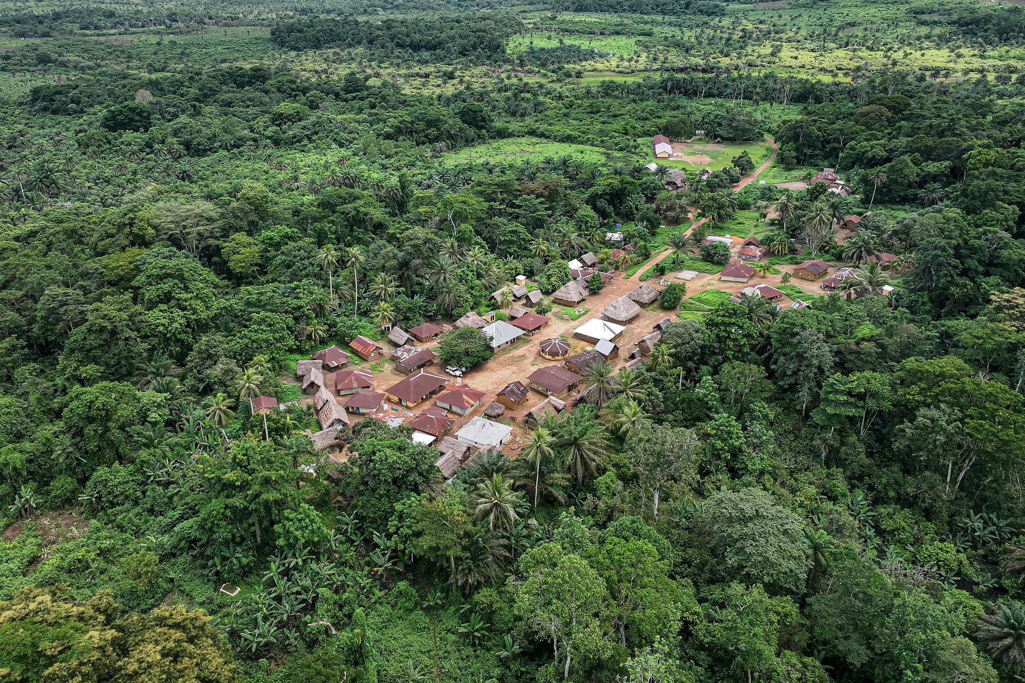 🇸🇱 🦍 Tiwai Island · Outamba-Kilimi · Rainforest Safari | Sierra Leone | Daylite Digital
