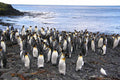 🇿🇦 🐧 Marion Island Sub-Antarctic Expedition — Daylite Digital