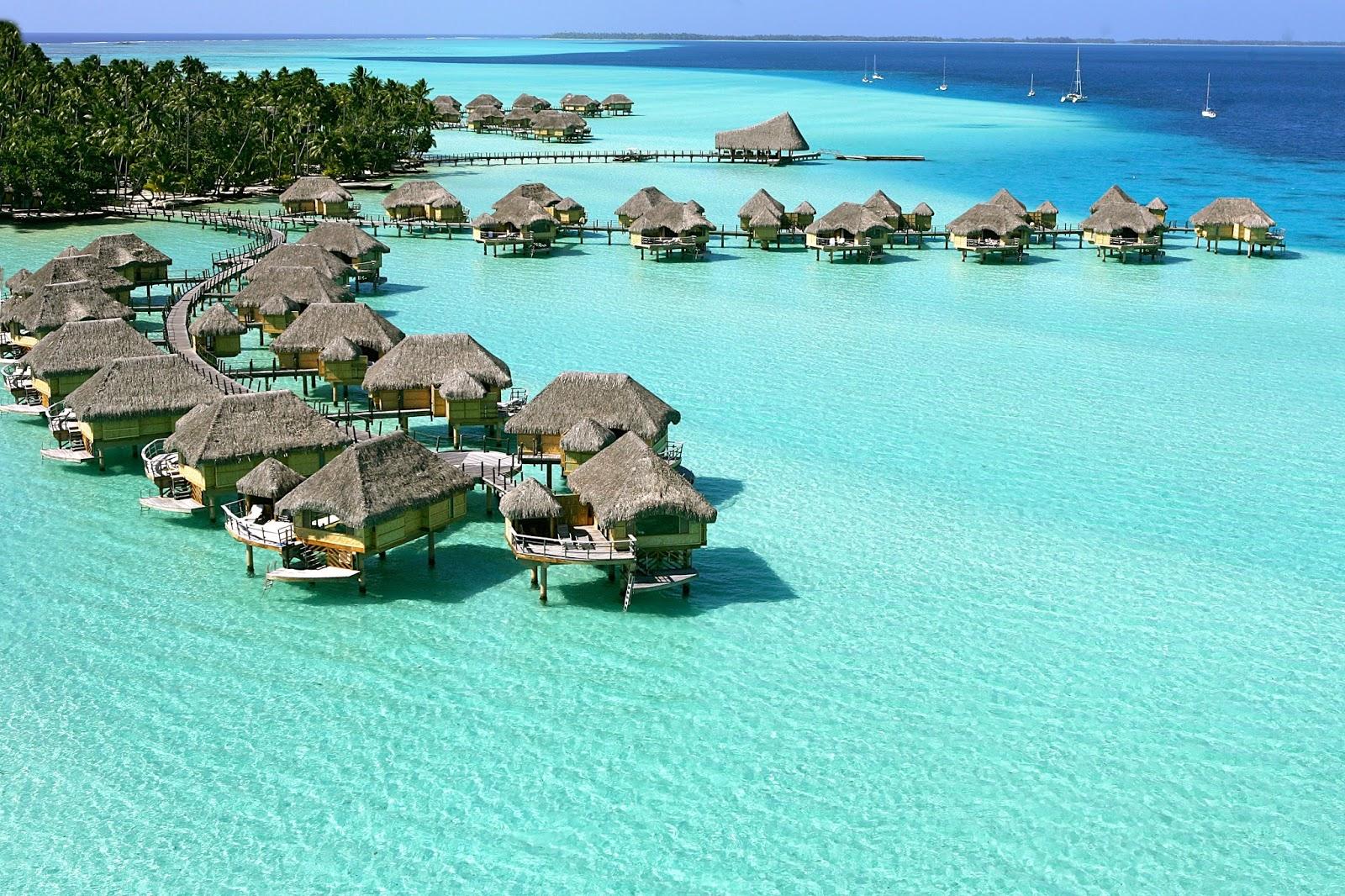 🇵🇫 🐳 Tahiti & Moorea · The Island That Inspired the World, French Polynesia — 10 Days