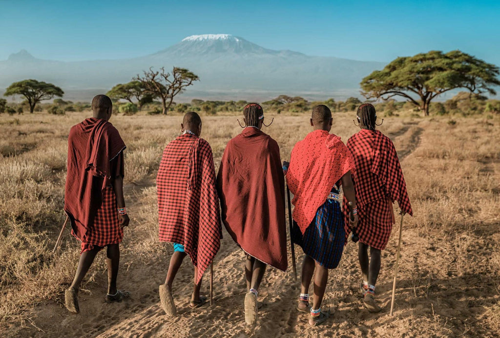 🇹🇿 🗻 Kilimanjaro Base & Cultural Safari — Tanzania | Daylite Digital
