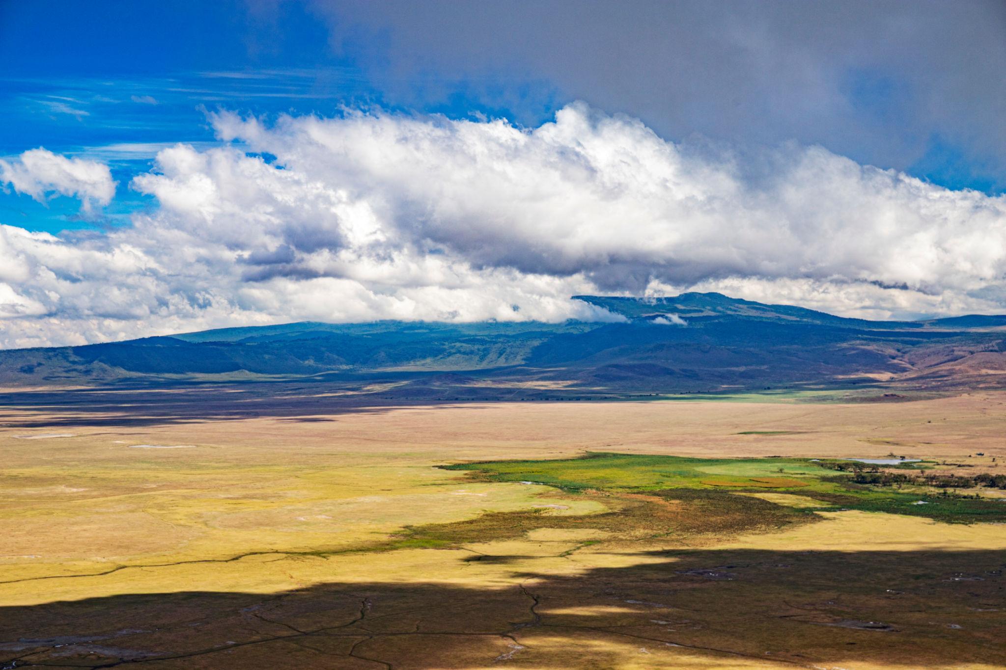 🇹🇿 🦁 Serengeti & Ngorongoro Crater Safari — Tanzania | Daylite Digital