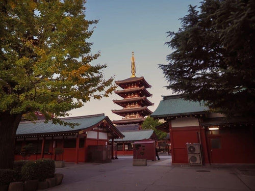 🇯🇵 ⛩ Tokyo · Neon, Ancient Temples & the Spirit of Japan · 10 Days
