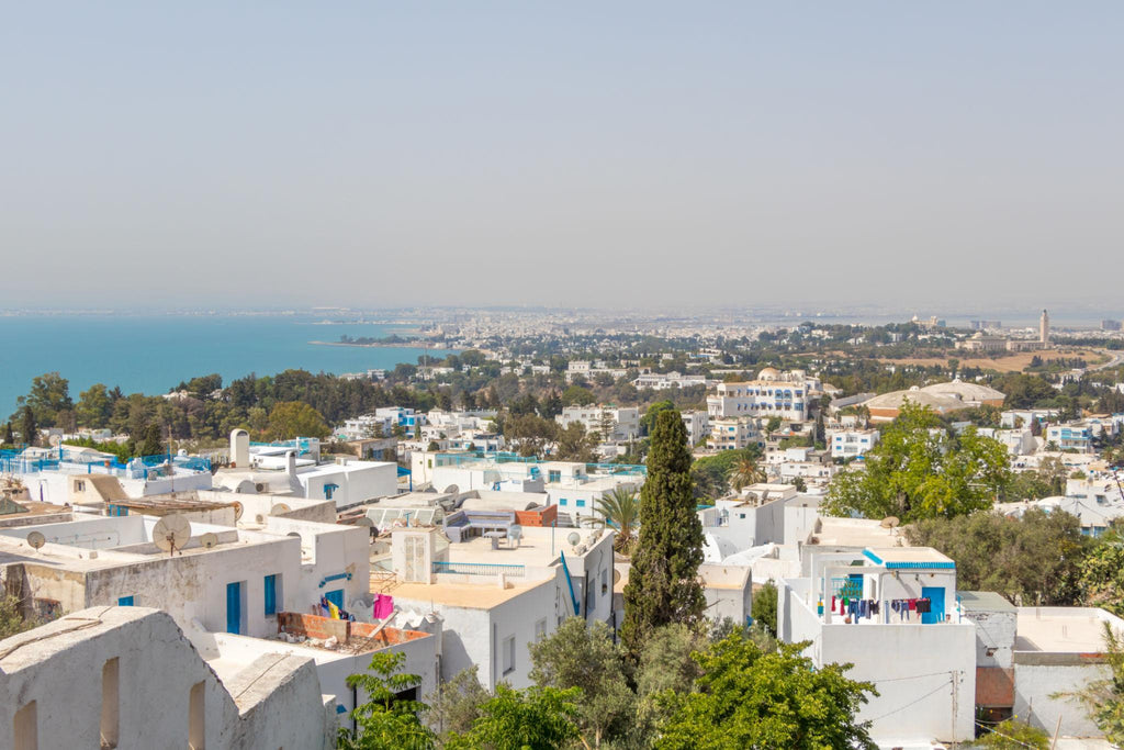 🇹🇳 🏛️ Tunis · Carthage · Sidi Bou Said | Tunisia | Daylite Digital