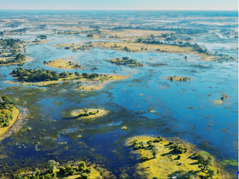 🇧🇼 🌊 Okavango Delta & Moremi Safari — 7 Days | Daylite Digital