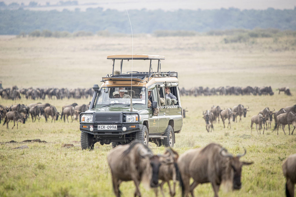 🇰🇪 🦁 Masai Mara & Great Migration Safari — Kenya | Daylite Digital