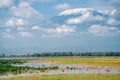 🇰🇪 🐘 Amboseli & Kilimanjaro View Safari — Kenya | Daylite Digital