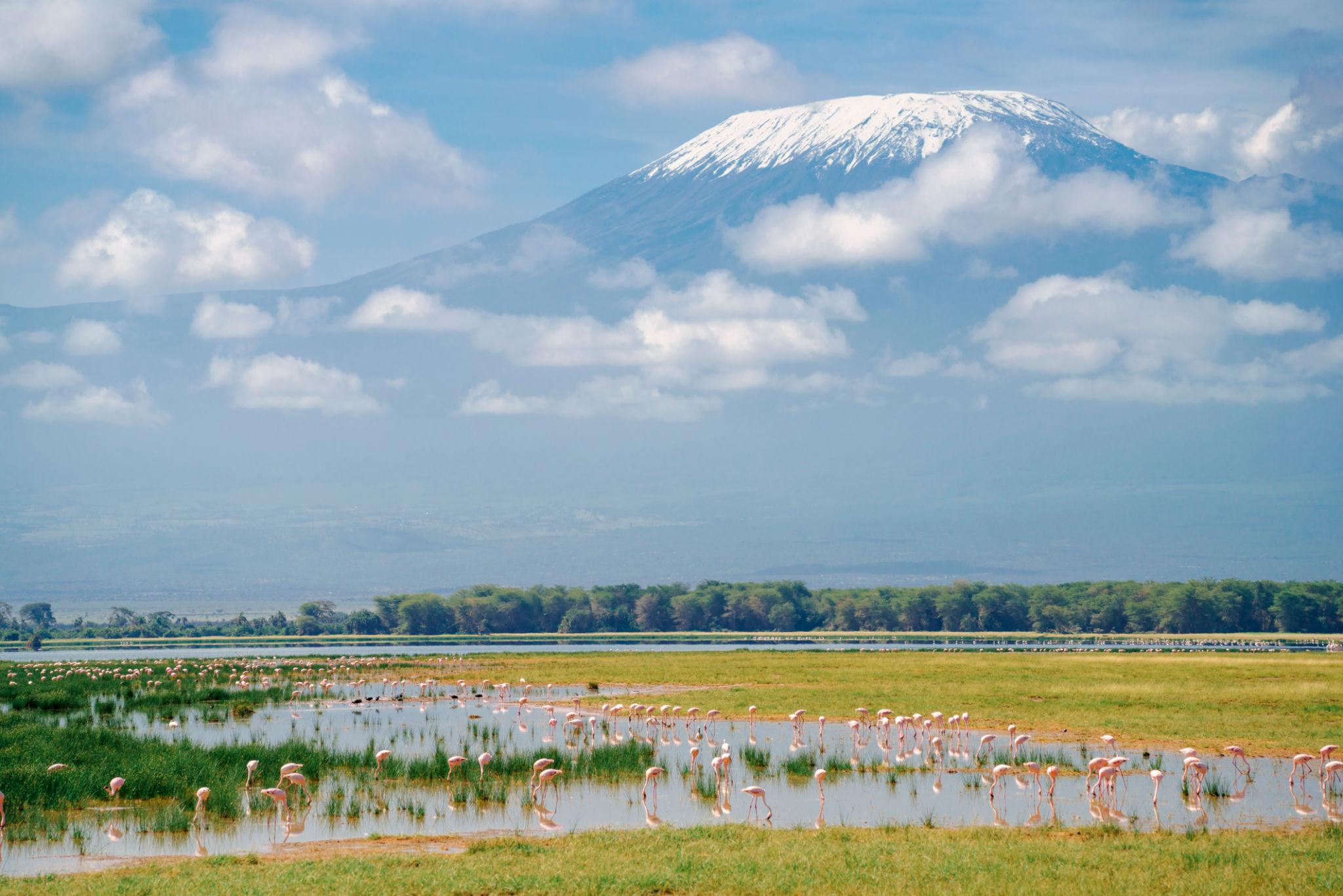 🇰🇪 🐘 Amboseli & Kilimanjaro View Safari — Kenya | Daylite Digital